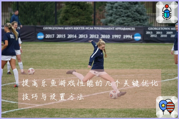 提高乐鱼游戏性能的几个关键优化技巧与设置方法