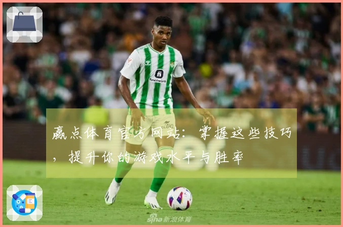 赢点体育官方网站：掌握这些技巧，提升你的游戏水平与胜率